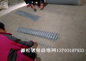 电厂保温用镀锌活络铁丝网勾丝网常用规格