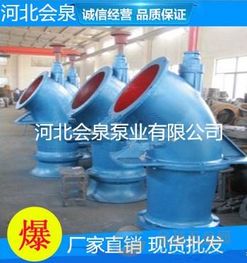 20zlb 100轴流泵 弯管